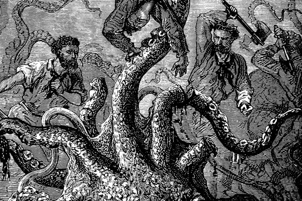 Kraken20 at
