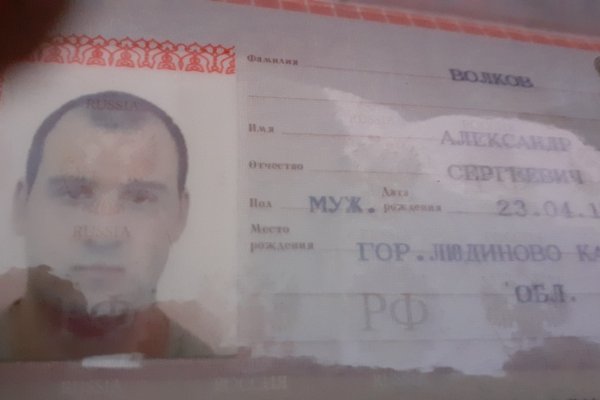 Кракен что можно купить