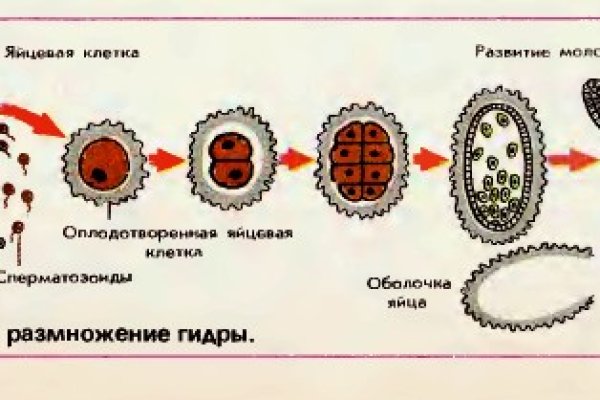 Кракен магазин наркотиков