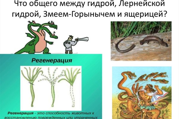 Кракен зеркала официальные