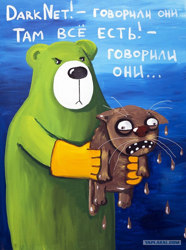 Кракен открылся