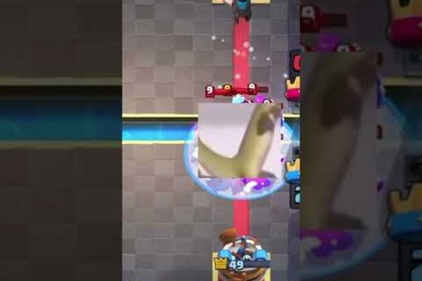 Kraken 12