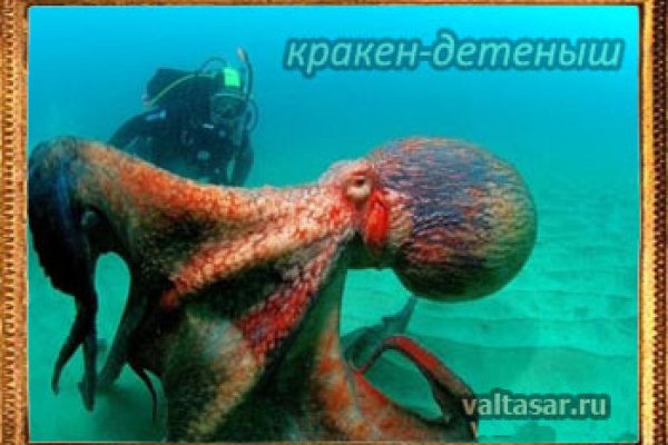 Кракен маркетплейс ассортимент