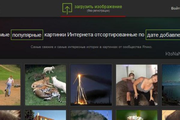 Сайт кракена в торе