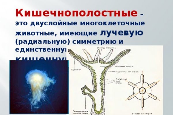 Ссылка кракен официальная тор