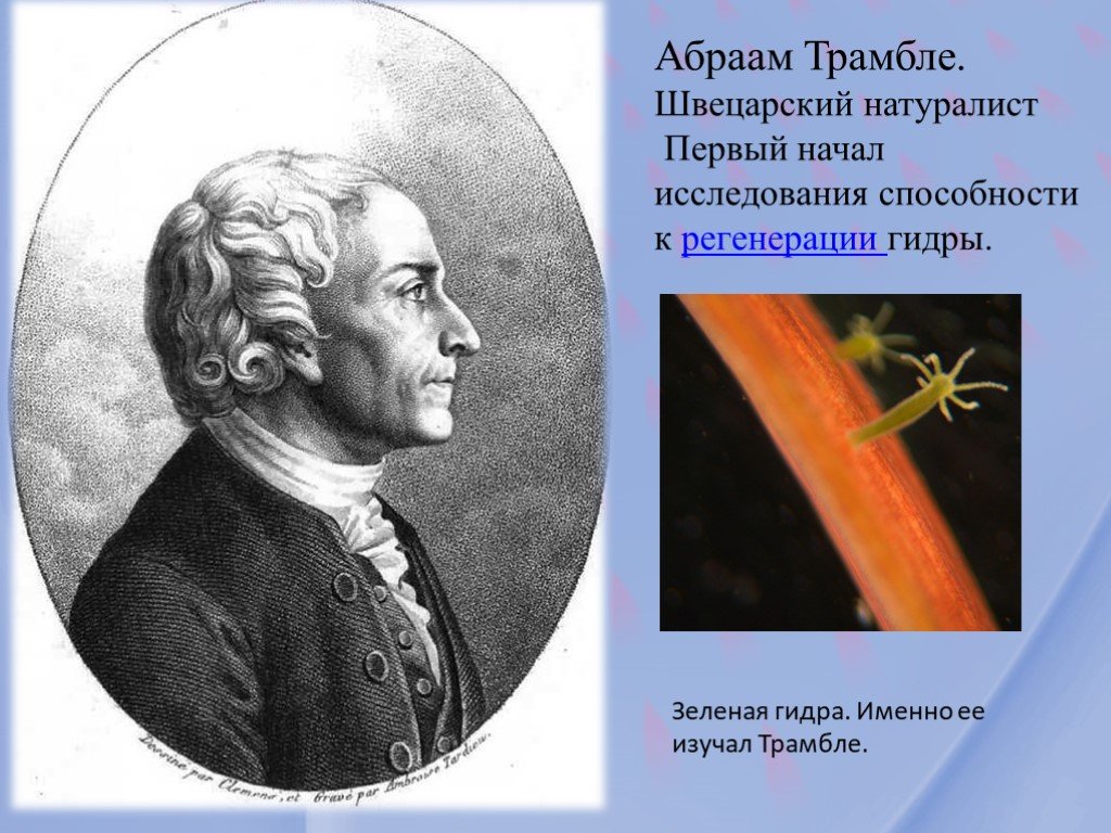 Замена hydra